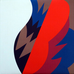 The Fiery Furnaces Remember Vinyl 3 LP