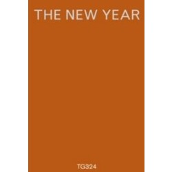 The New Year The New Year Vinyl LP