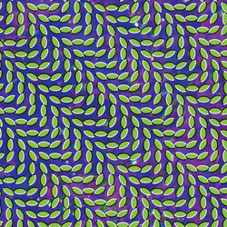 Animal Collective Merriweather Post Pavilion Vinyl LP