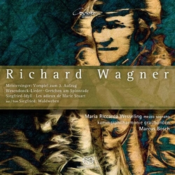 Maria Riccarda/Kammerphi Wesseling Works For Chamber Orchestra: Siegfr SACD CD