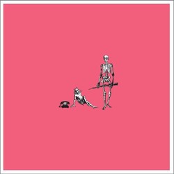 Say Hi To Your Mom Oohs & Aahs Vinyl LP