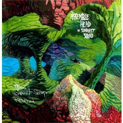 Assemble Head In Sunburst Sound When Sweet Sleep Returned Vinyl LP