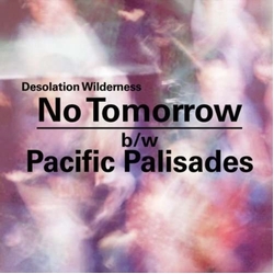 Desolation Wilderness No Tomorrow Pacific Palisades vinyl 7
