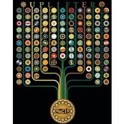 311 Uplifter Vinyl LP