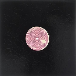 Stefan Goldmann Yes To All Vinyl LP