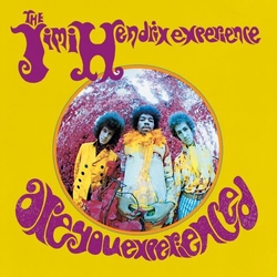 The Jimi Hendrix Experience Are You Experienced Vinyl LP