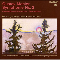 Gustav Mahler / Bamberger Symphoniker / Jonathan Nott / Anne Schwanewilms / Lioba Braun / Chor Der Bamberger Symphoniker Symphonie No. 2 Vinyl LP