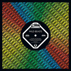 Wild Beasts We Still Got The Taste Dancin' On Our To Vinyl 12"