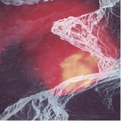 Wires Under Tension Light Science Vinyl LP