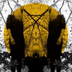 Austra Feel It Break Vinyl 2 LP