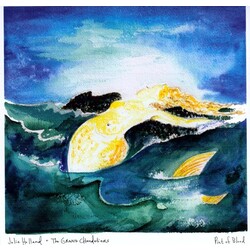Jolie Holland & The Grand Chandeliers Pint Of Blood Vinyl LP