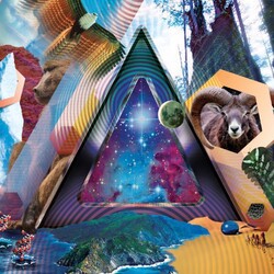 311 Universal Pulse  180gm Vinyl LP