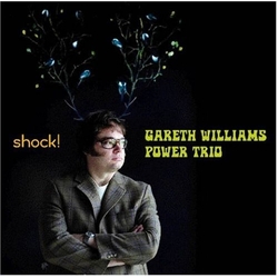 Gareth Williams Shock Gareth Williams Power Trio SACD CD
