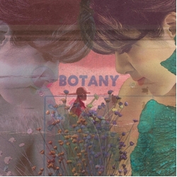 Botany Feeling Today Vinyl LP