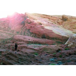 Tamaryn Waves Vinyl LP