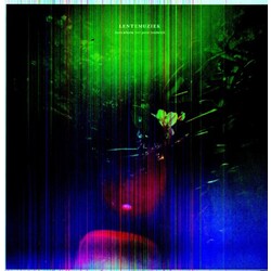 Laura Met Peter Broderick Arkana Lentemuziek Vinyl LP