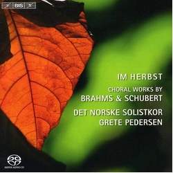 Brahms Andsnes Det Norske Solistkor Pedersen Nine Songs From Zigeunerlieder SACD CD