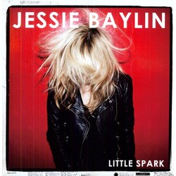 Jesse Baylin Little Spark Vinyl LP