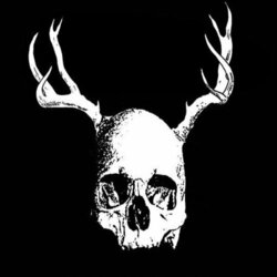 Secret Fun Club Skull With Antlers Vinyl LP