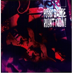 Pussy Galore Right Now vinyl LP