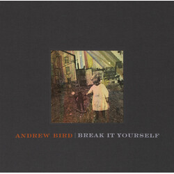 Andrew Bird Break It Yourself Multi DVD/CD/Vinyl 2 LP Box Set