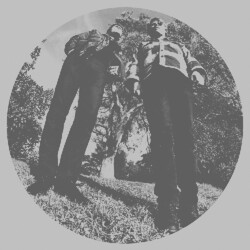 Ty & White Fence Segall Hair Vinyl LP