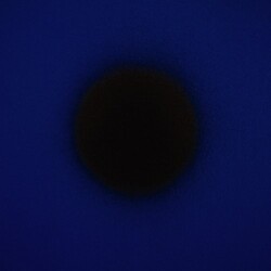 Alberto Pascual Last Train To Party Vinyl 12"