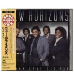 New Horizons Gonna Have Big Fun Vinyl LP