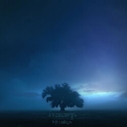 Haarp (2) Husks Vinyl LP