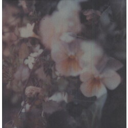 Every Hidden Color Luz Vinyl LP