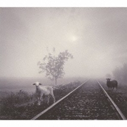 Dead Rabbits (2) TimeIsYourOnlyEnemy Vinyl LP