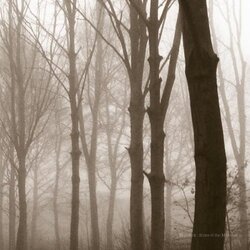 Blueneck Scars Of The Midwest vinyl LP