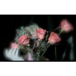 Profligate VIDEOTAPE  ltd Vinyl 12"