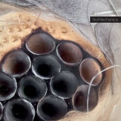 Biomechanica Bm-01 Vinyl LP