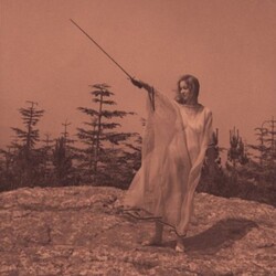 Unknown Mortal Orchestra Ii Vinyl LP
