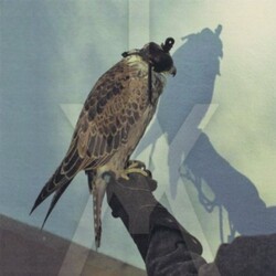Iceage You'Re Nothing Vinyl LP