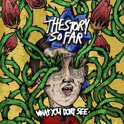 Story So Far What You Don't See Vinyl LP