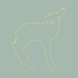 Songs: Ohia Hecla & Griper Vinyl LP