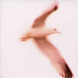 Julia Holter Maria vinyl 7