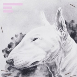 Terranova Painkiller (Ep) vinyl 12