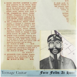 Teenage Guitar Force Fields At Home Vinyl LP