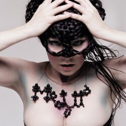 Bjork Medulla Vinyl 2 LP