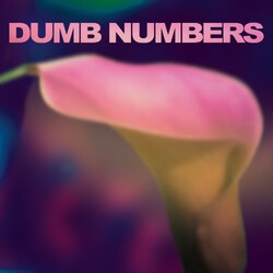 Dumb Numbers Dumb Numbers Vinyl LP