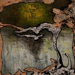 Julian Lynch Terra Vinyl LP
