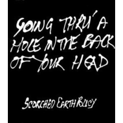 Scorched Earth Policy Going Thru' A Hole In The Back Of Your Head ltd Vinyl LP