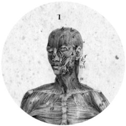 Hugh Mane Spectra Sonics Ep Vinyl 12"