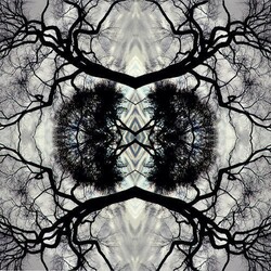 Adam Rudolph Sonic Mandala-Go: Organic Orchestra ltd VINYL 2 LP