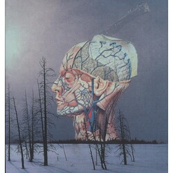 Low Songs For A Dead Pilot Vinyl LP