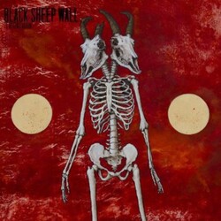 Black Sheep Wall It Begins Again Vinyl LP