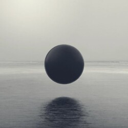 Braids Flourish/Perish Vinyl LP